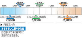 図：ホタルックスリムα　色温度
