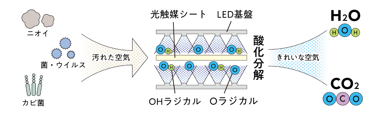 ひかりがニオイとウイルスを分解する2つのステップ